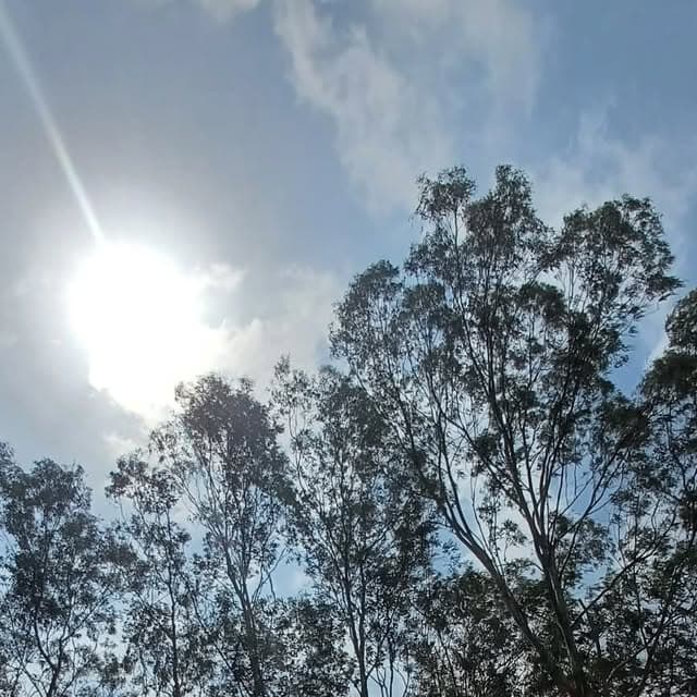 Singing Wanderers moment